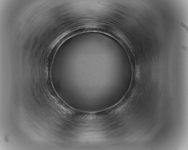 X0000101160829200807071156