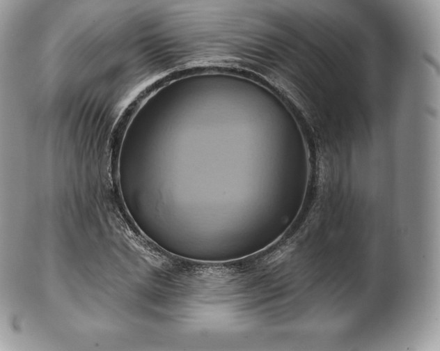 X0000101160830200807071156