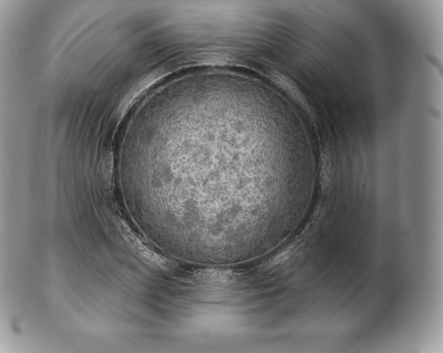 X0000101160831200807071156