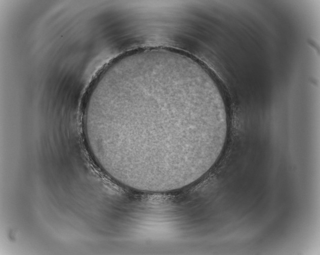 X0000101160832200807071156