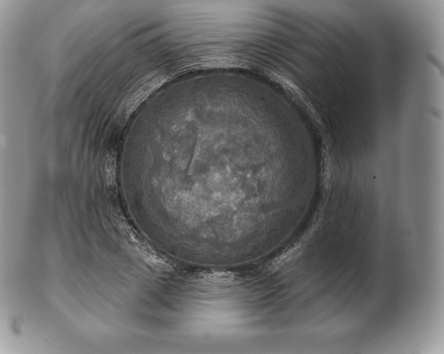 X0000101160833200807071156