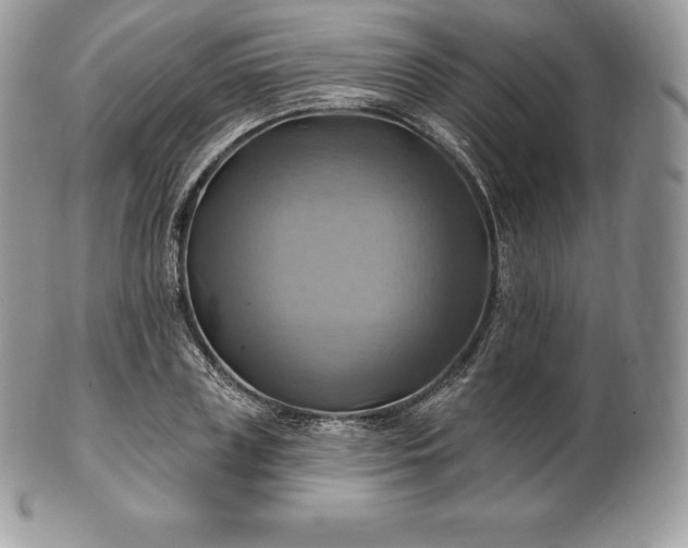 X0000101160835200807071156