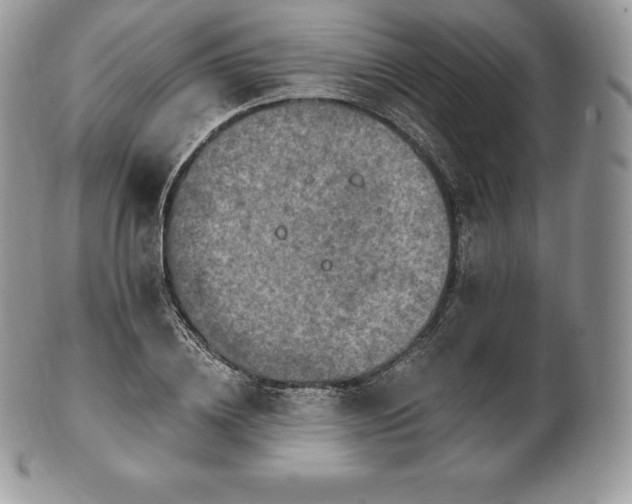 X0000101160836200807071156