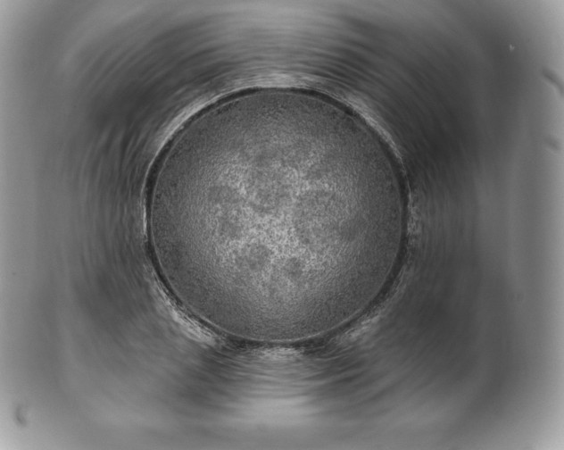 X0000101160837200807071156