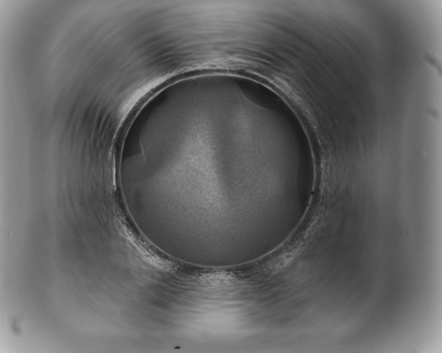 X0000101160838200807071156