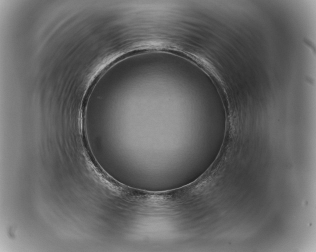 X0000101160839200807071156