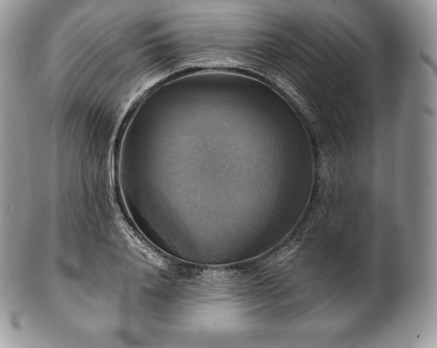 X0000101160840200807071156