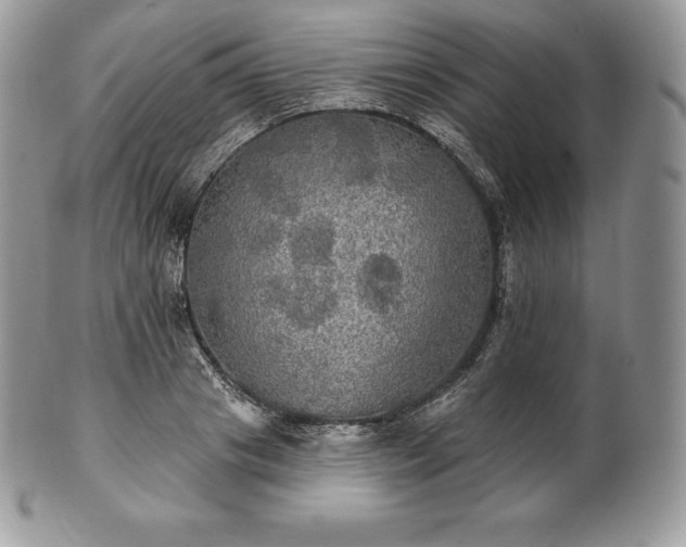 X0000101160841200807071156