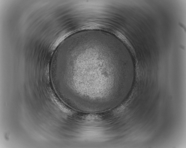 X0000101160842200807071156