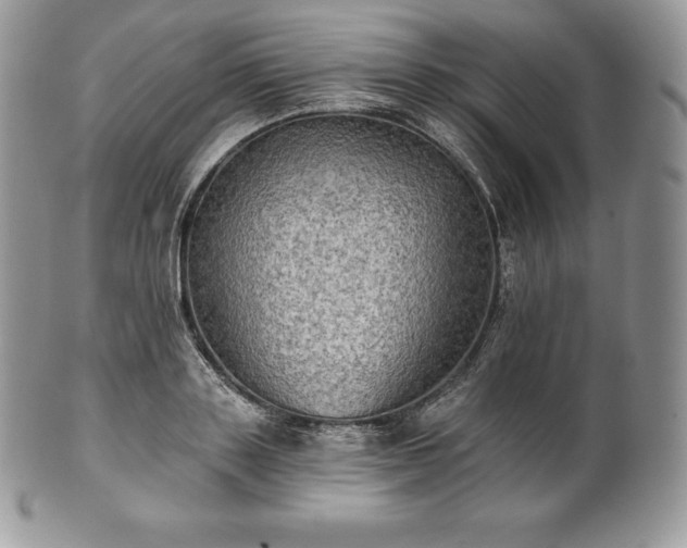 X0000101160843200807071156