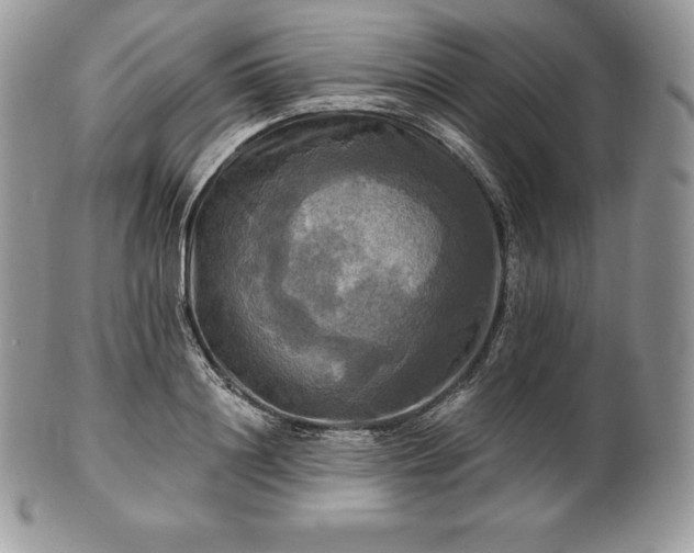 X0000101160844200807071156