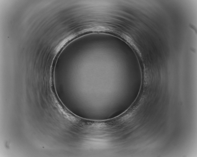 X0000101160845200807071156