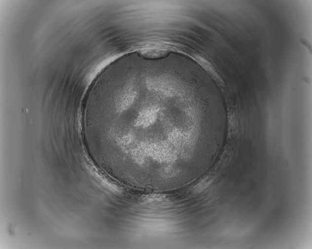 X0000101160846200807071156