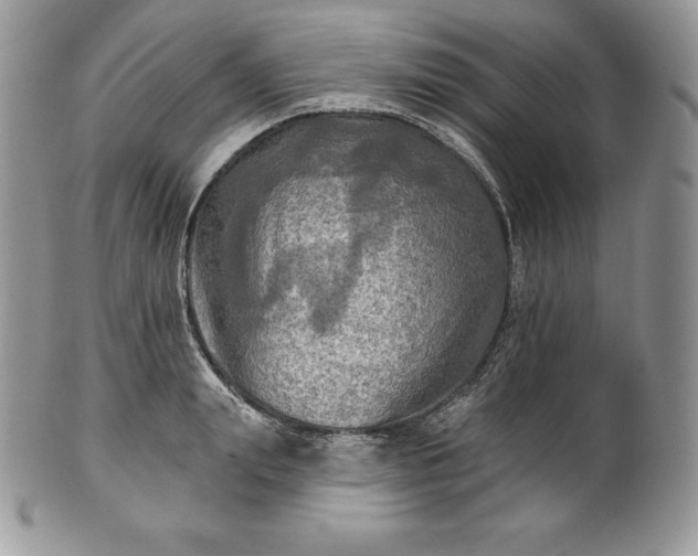 X0000101160847200807071156