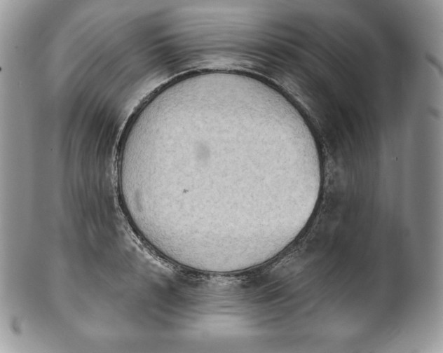 X0000101160848200807071156