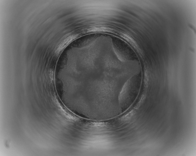 X0000101160849200807071156