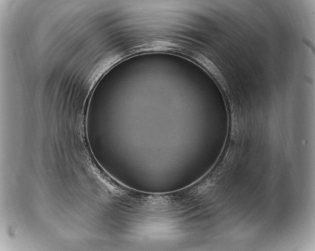 X0000101160850200807071156