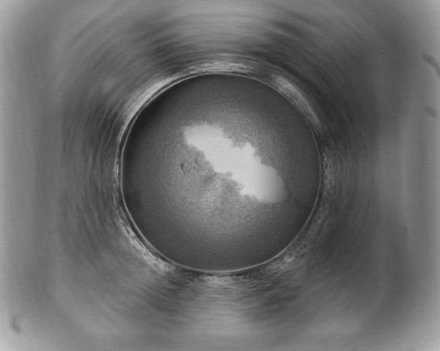 X0000101160852200807071156