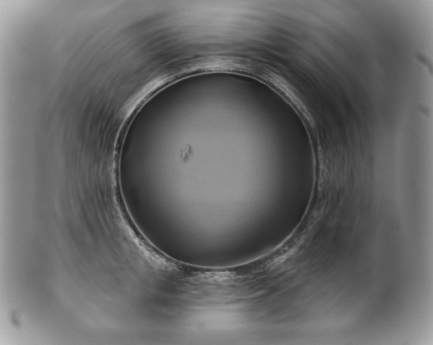 X0000101160853200807071156