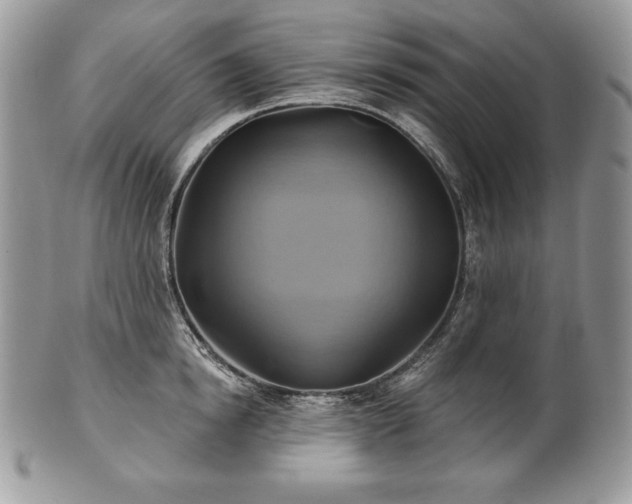 X0000101160854200807071156