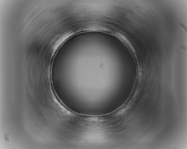 X0000101160855200807071156