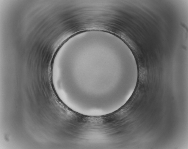 X0000101160856200807071156