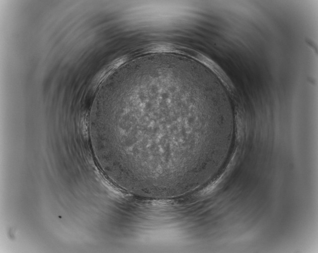 X0000101160857200807071156