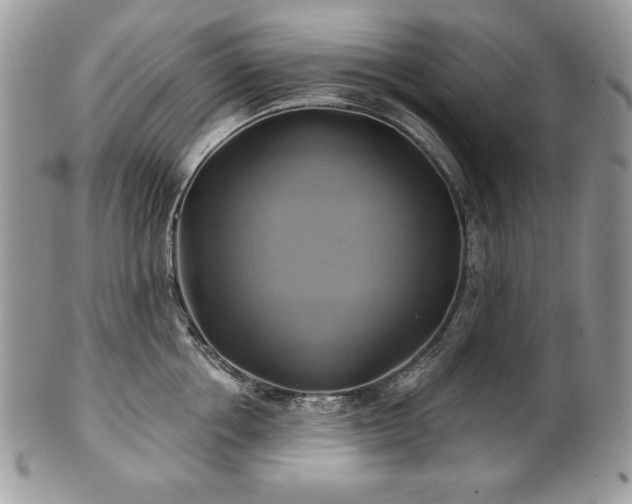 X0000101160858200807071156