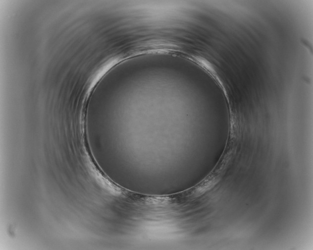 X0000101160859200807071156