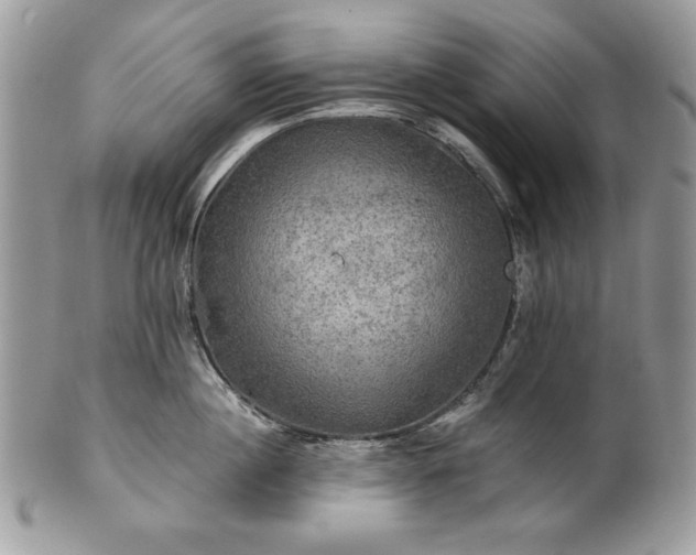 X0000101160860200807071156