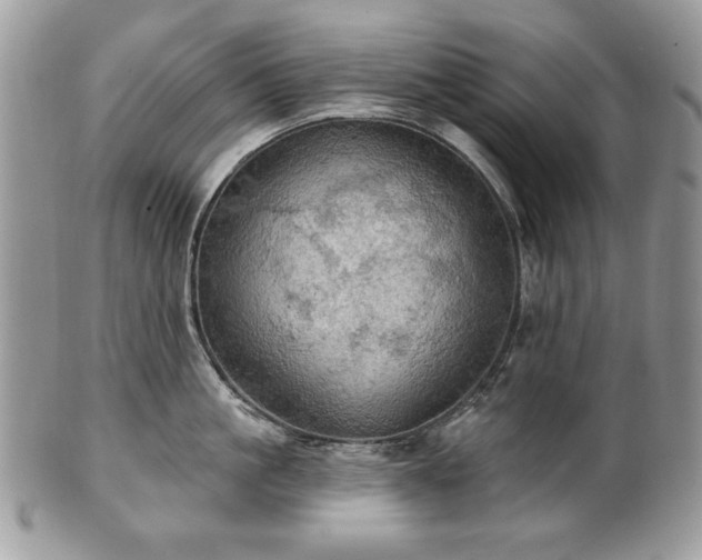 X0000101160861200807071156