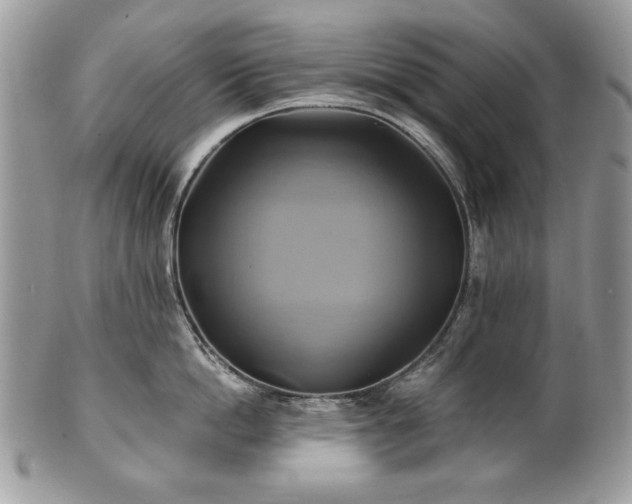 X0000101160862200807071156