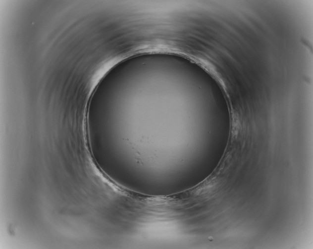 X0000101160863200807071156