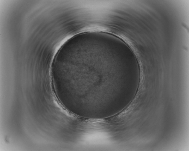 X0000101160864200807071156