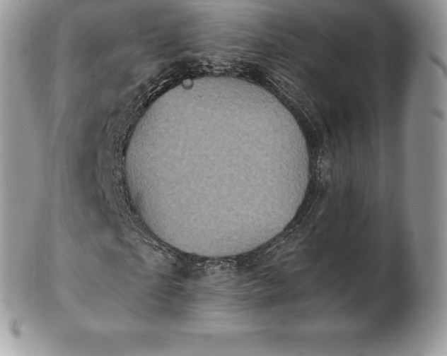 X0000101160865200807071156