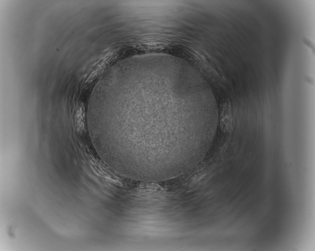 X0000101160866200807071155