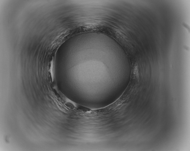 X0000101160868200807071155