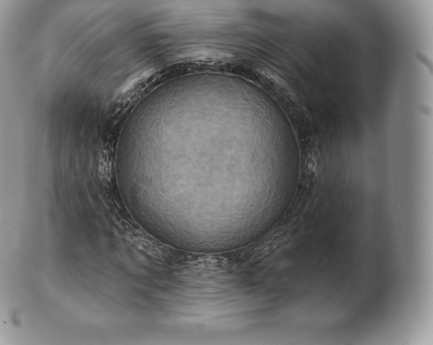 X0000101160869200807071155