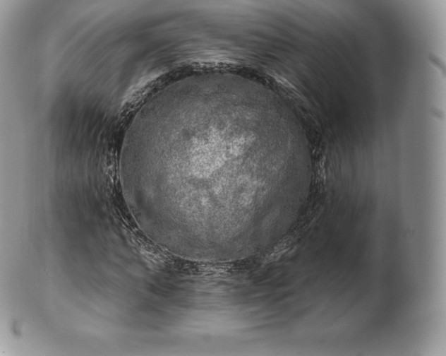 X0000101160870200807071155