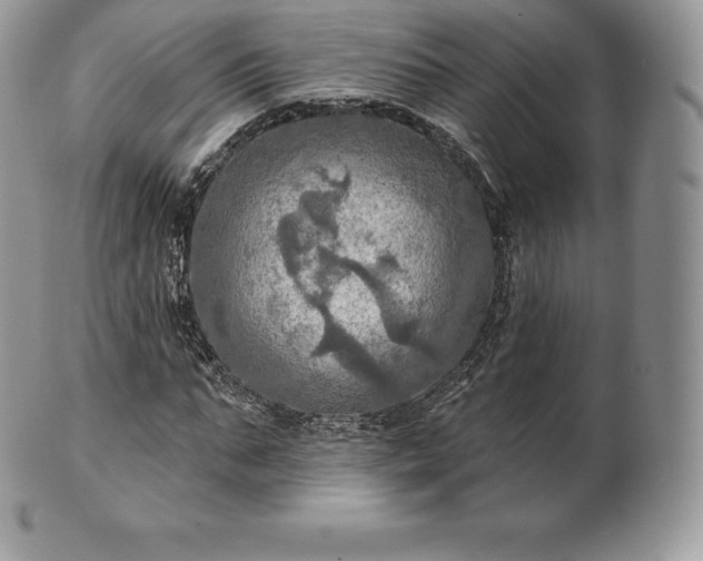 X0000101160871200807071155