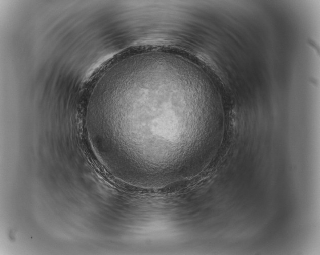 X0000101160872200807071155