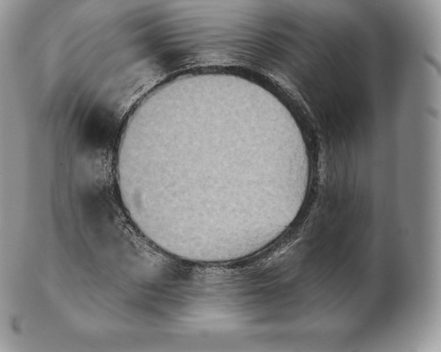 X0000101160873200807071155