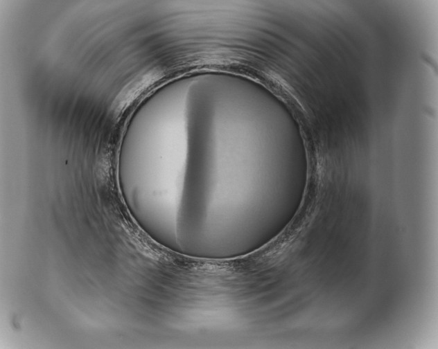 X0000101160874200807071155