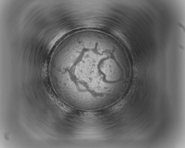 X0000101160875200807071155