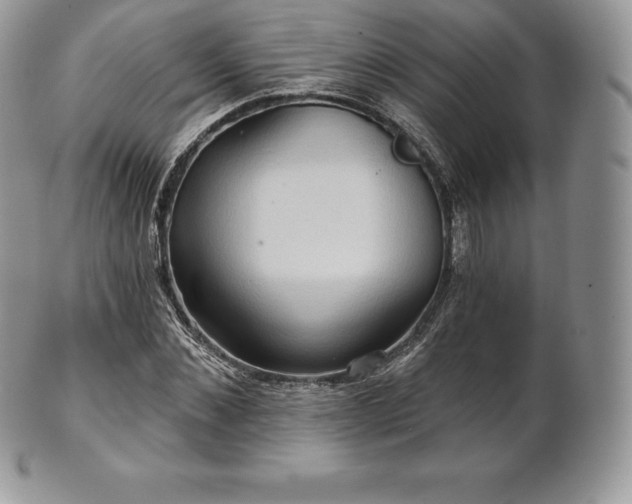 X0000101160876200807071155