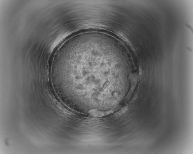 X0000101160877200807071155