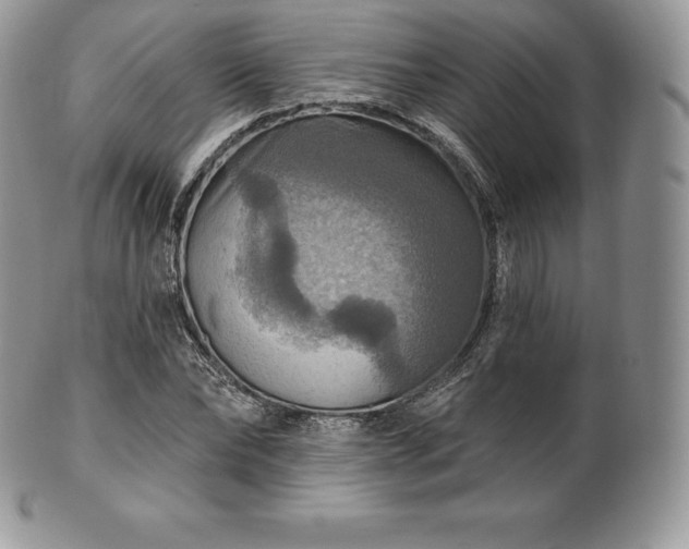 X0000101160878200807071155