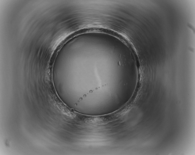 X0000101160879200807071155