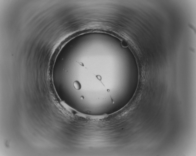 X0000101160880200807071155