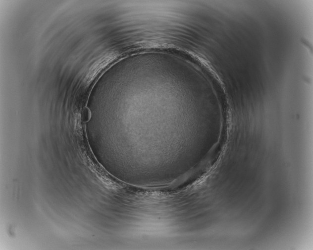 X0000101160881200807071155